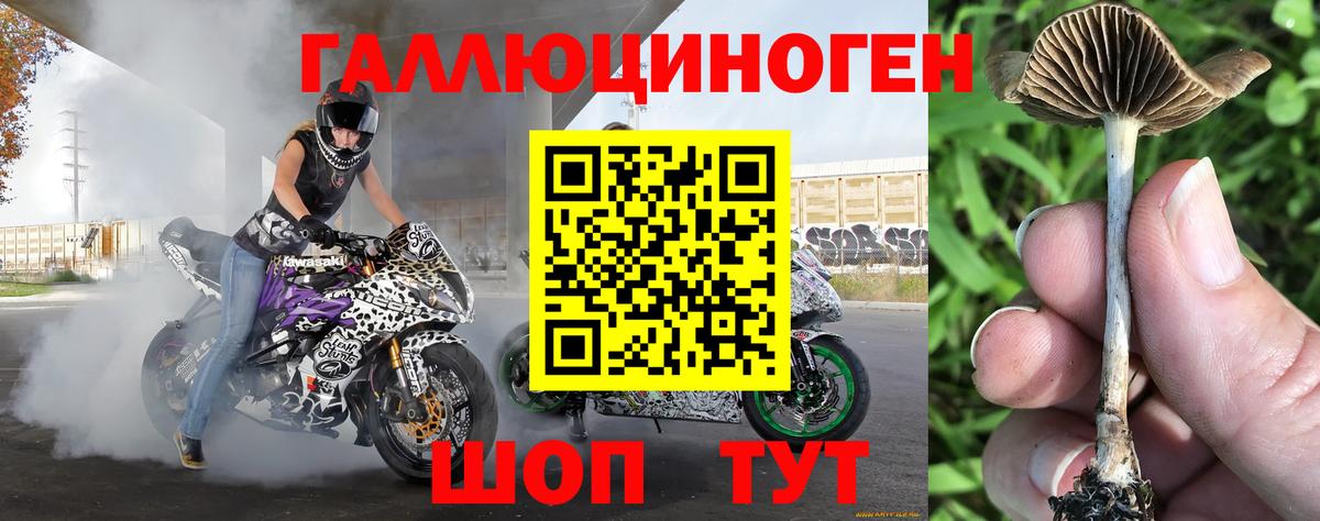 Миллерово  Галлюциногенные грибы Psilocybe  Псилоцибиновые грибы мицелий  Вход с VPN 