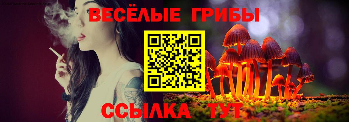 Галлюциногенные грибы прущие грибы Миллерово